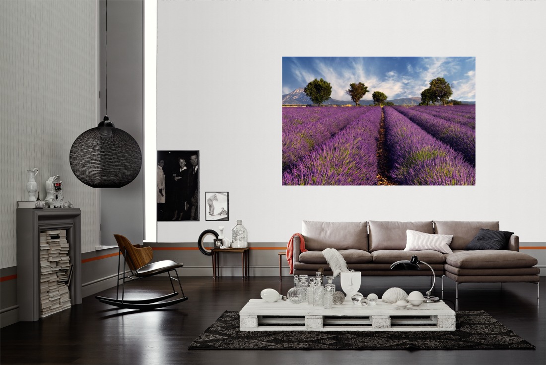 Fototapete Lavendel Feld Jetzt » bestellen der Provence